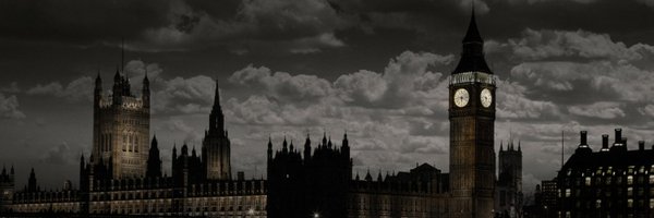 lilybee731 Profile Banner