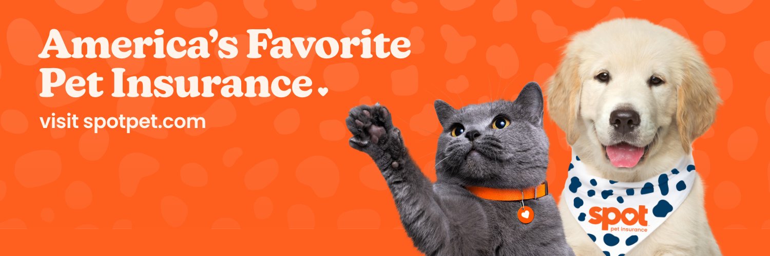 Spot Pet Insurance banner