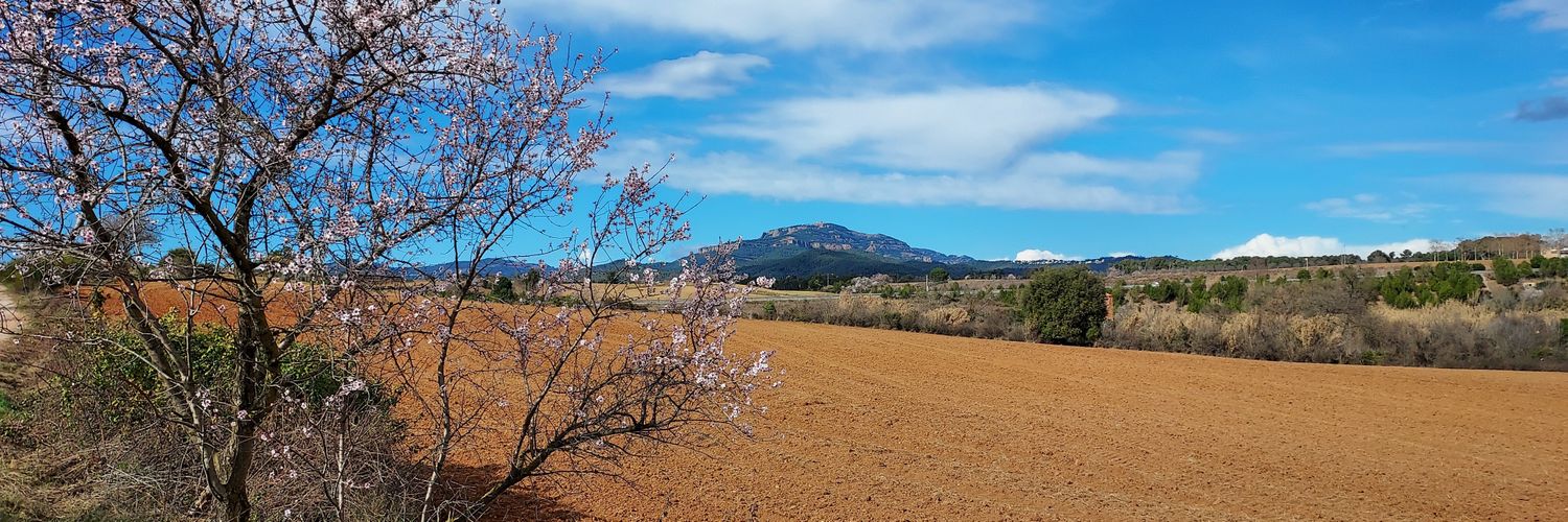 Sergi CS 🧅⛴️ banner