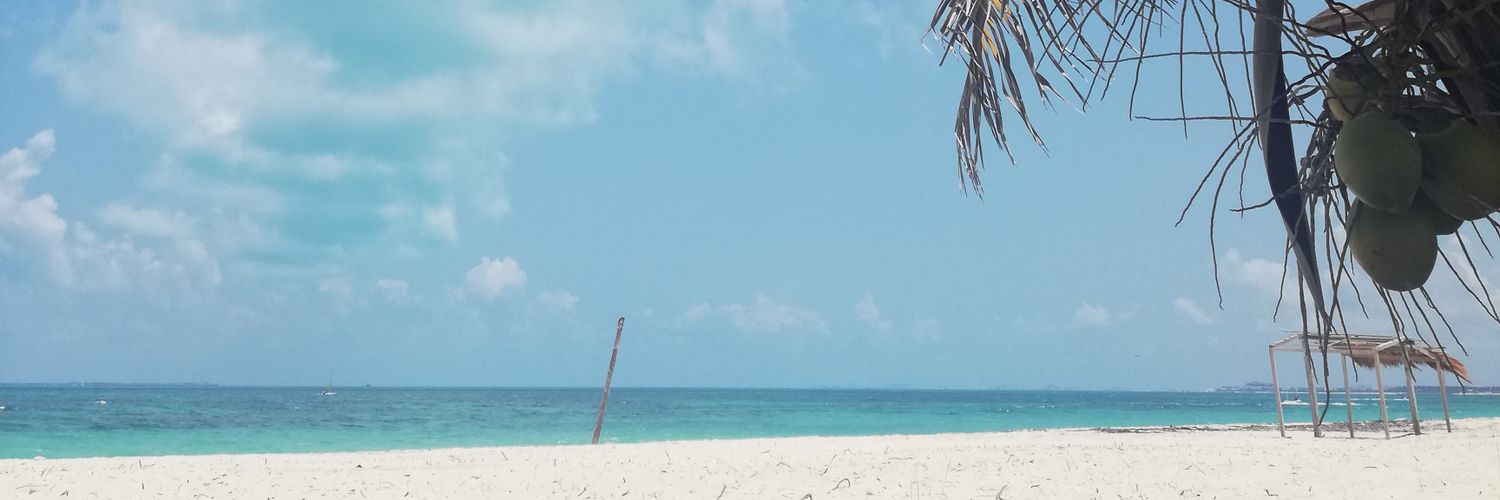 ylaaless's profile banner image