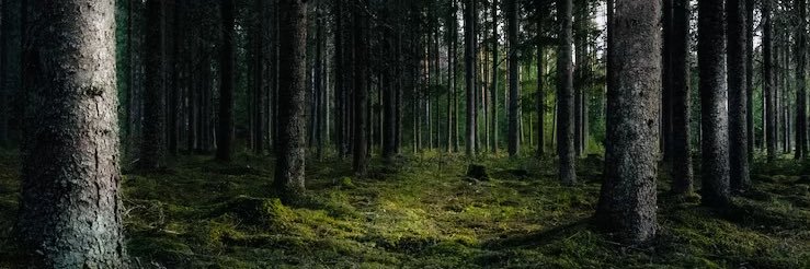 TheReal_Blue26's profile banner image