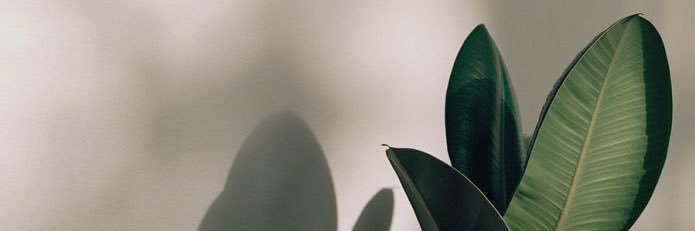 eugabipinho's profile banner image