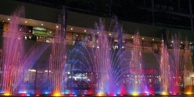 buchi_dalmatian's profile banner image