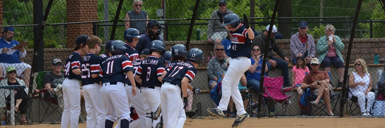 Lake County Stars Baseball banner