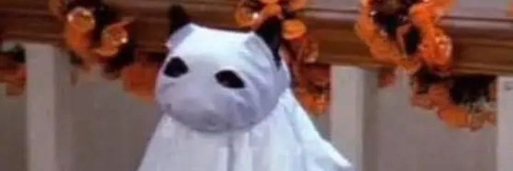 ChrisVllds's profile banner image