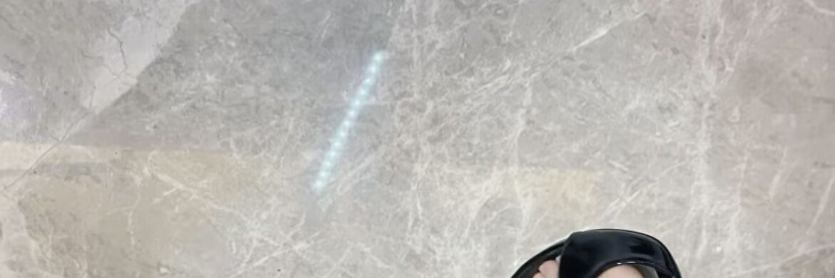 SellarsStarling's profile banner image