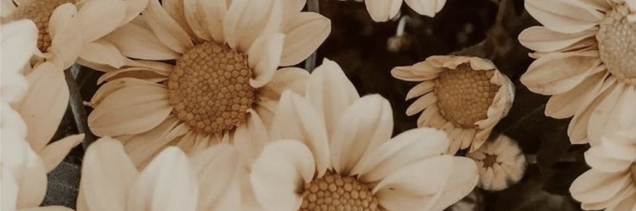 sarahsttr's profile banner image