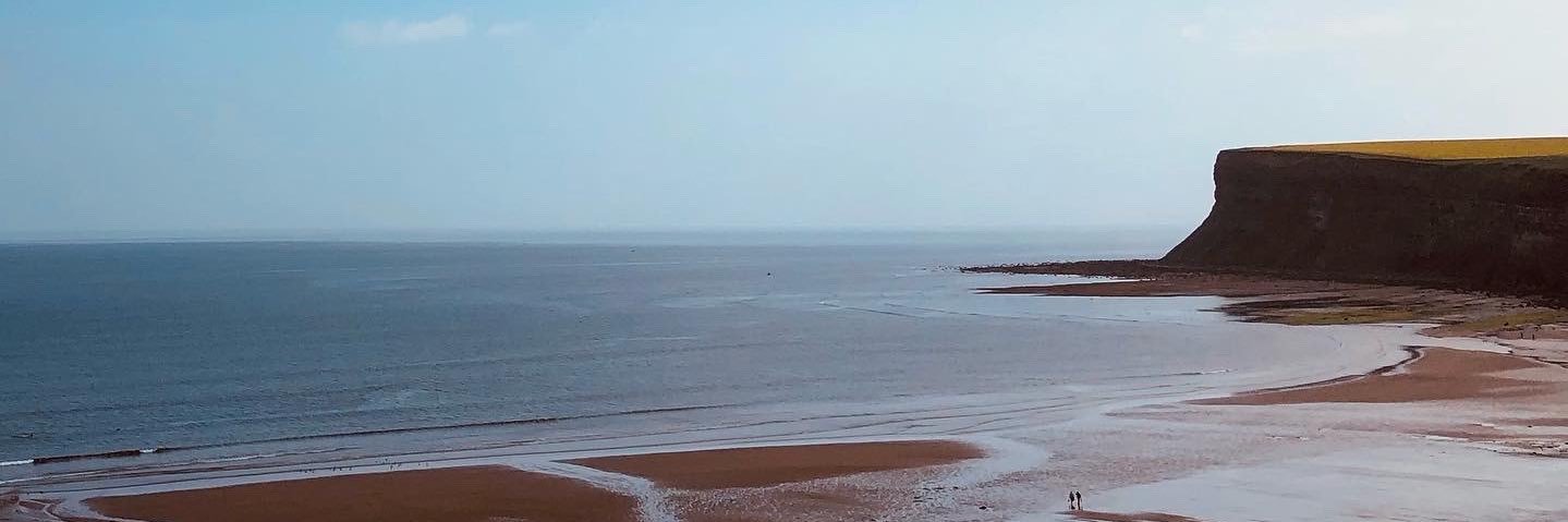 Alice Henderson banner