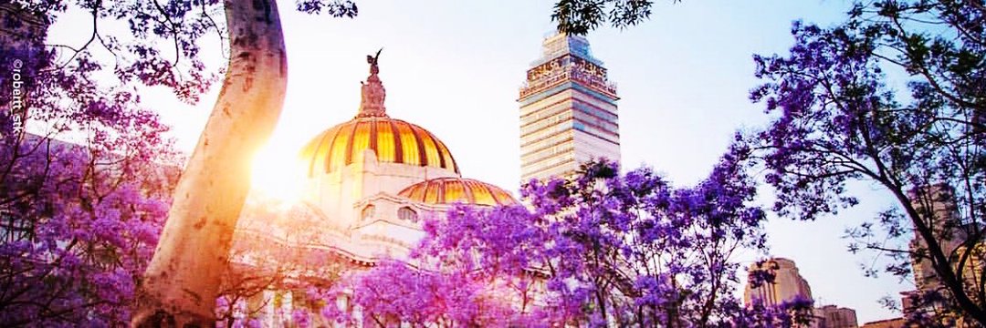 Alzando la Voz banner