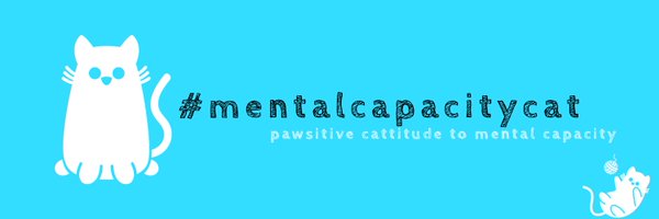thecapacitycat Profile Banner