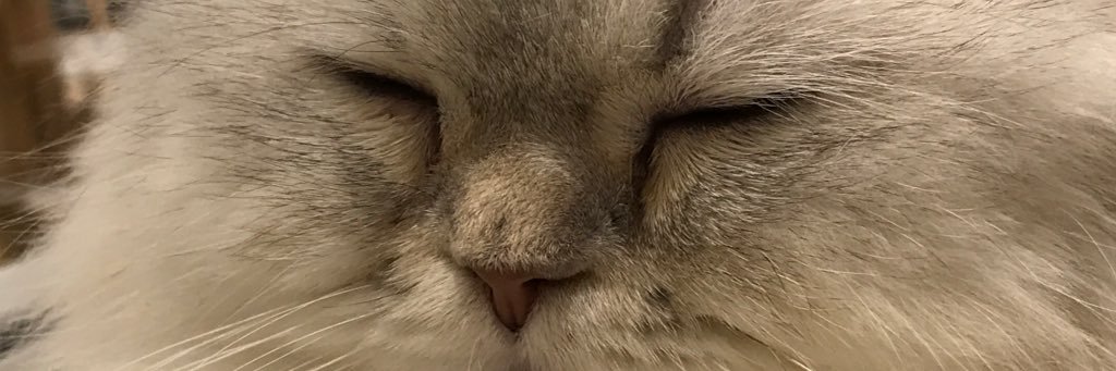 megataka's profile banner image