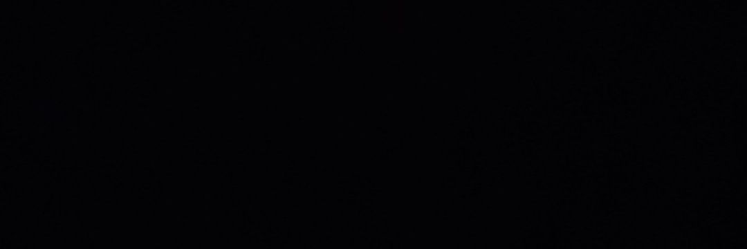 Dog__Bee's profile banner image