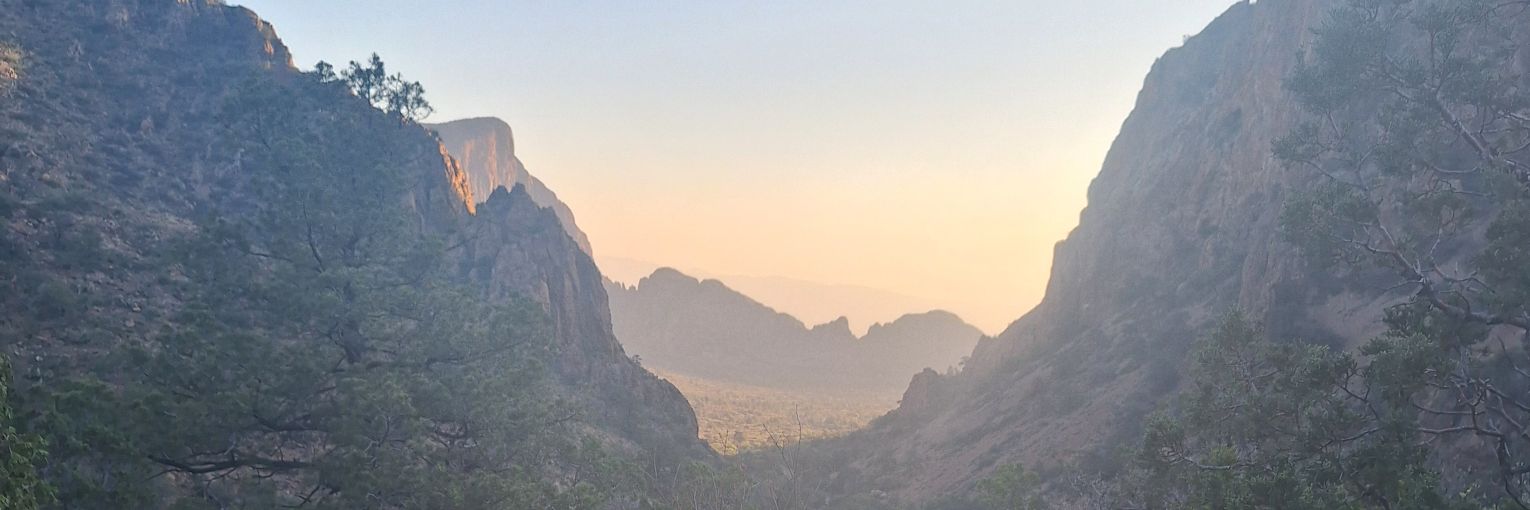 F. Celeste Smith banner