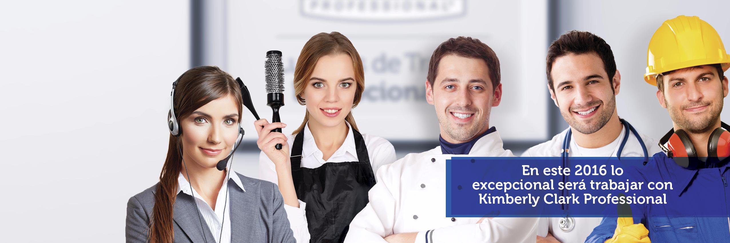 Kimberly Clark Prof. banner