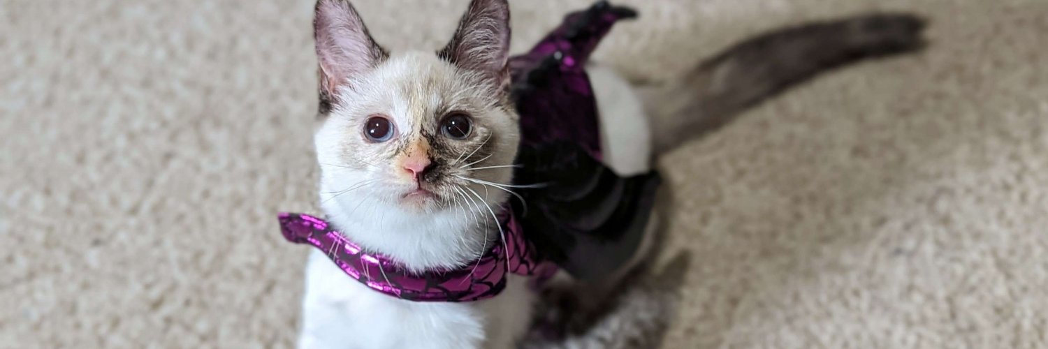 im having a connection issue banner