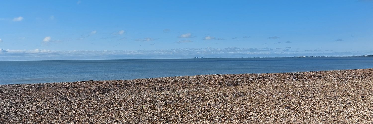 Madame Cholet, Wombling along banner
