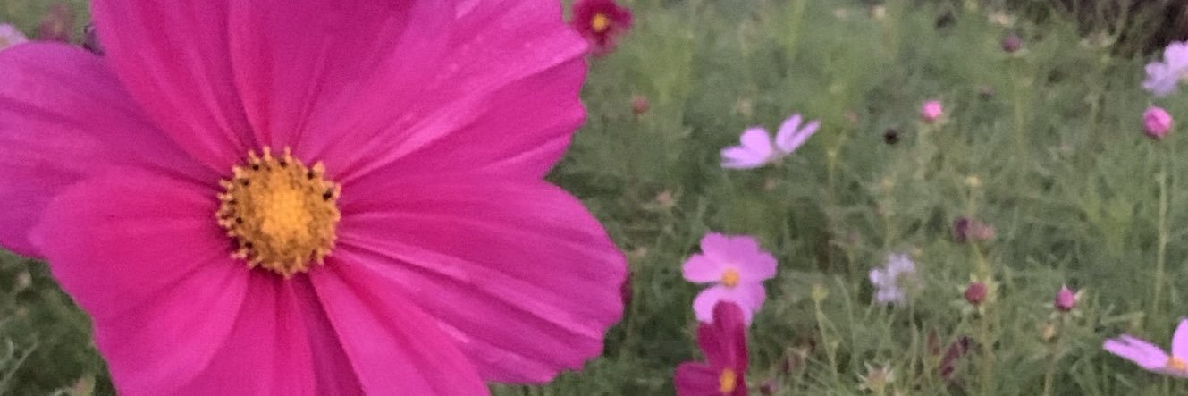 ひとぜろ🌎☄️🌑 banner