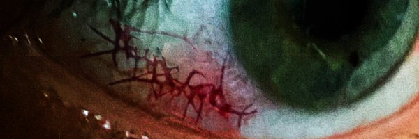 preussuniverse Profile Banner