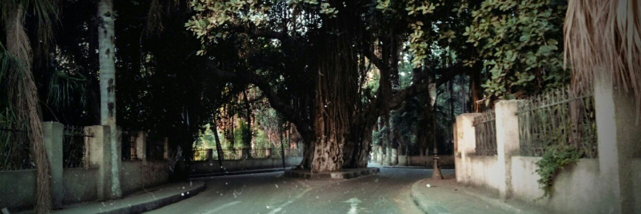 SabryMomen's profile banner image