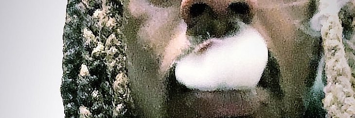 ReeTheRuler's profile banner image