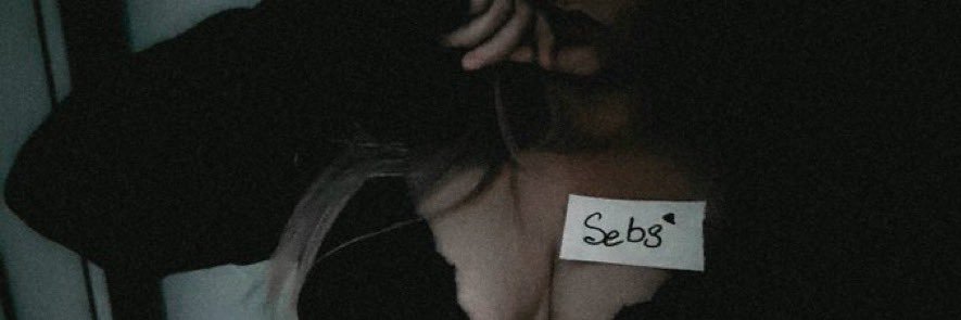 Sebs banner