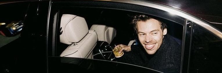 nora ˚˖𓍢ִ໋❀ banner