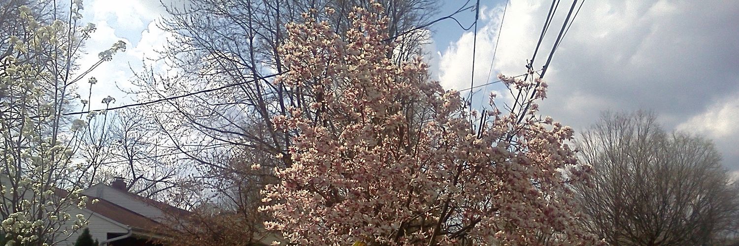 MrCincybcam's profile banner image