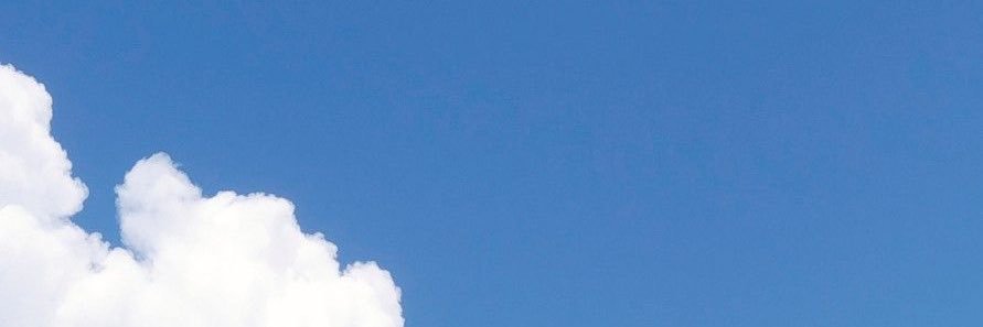 riskadevian's profile banner image