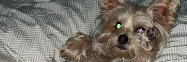 Chrisaliciouss Profile Banner