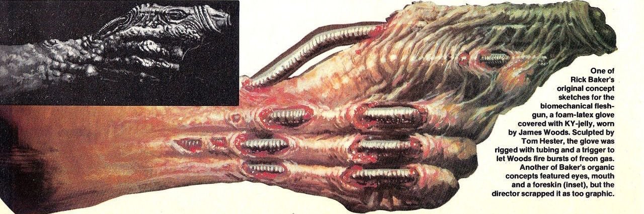 videodrom's profile banner image