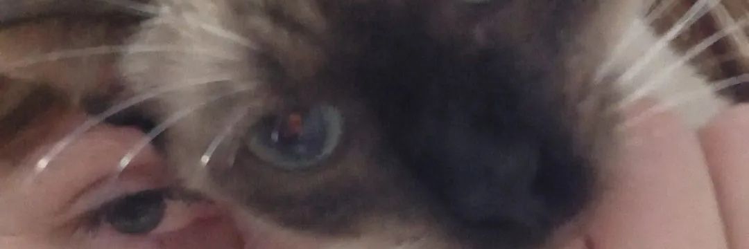 Stefawo's profile banner image