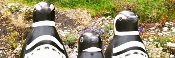 8_bee_t's profile banner image