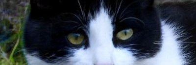 BTHYYT's profile banner image