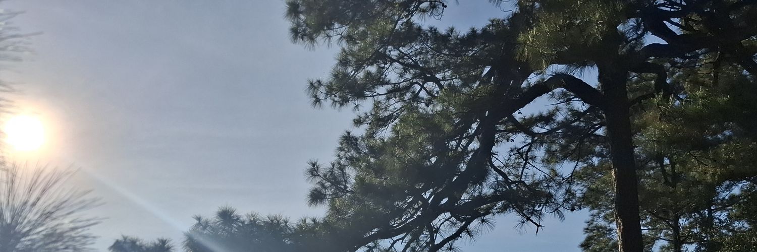 EEnduring's profile banner image