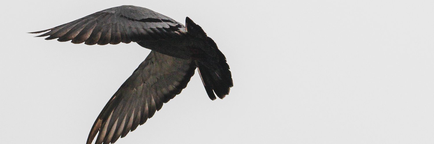 루시드폴 Lucid Fall banner