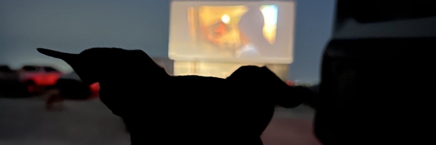 laquitabaybee's profile banner image