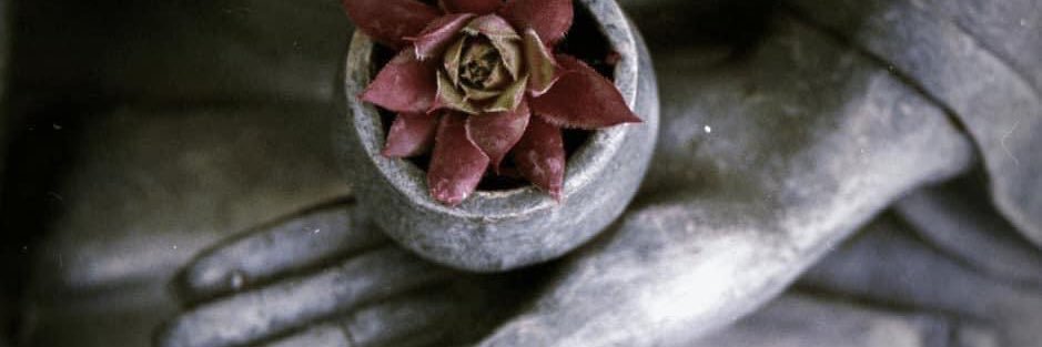 Lore Ferreira banner