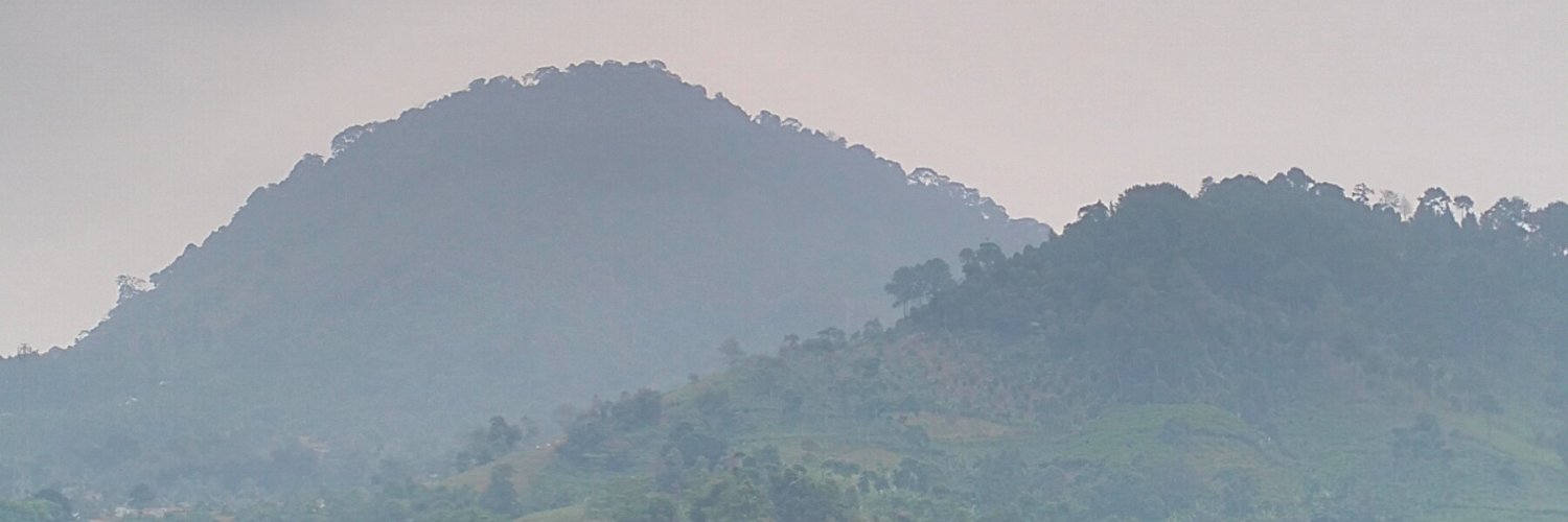 Revalined's profile banner image