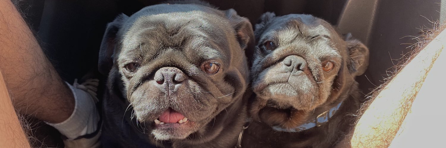 Iván Gallardo banner