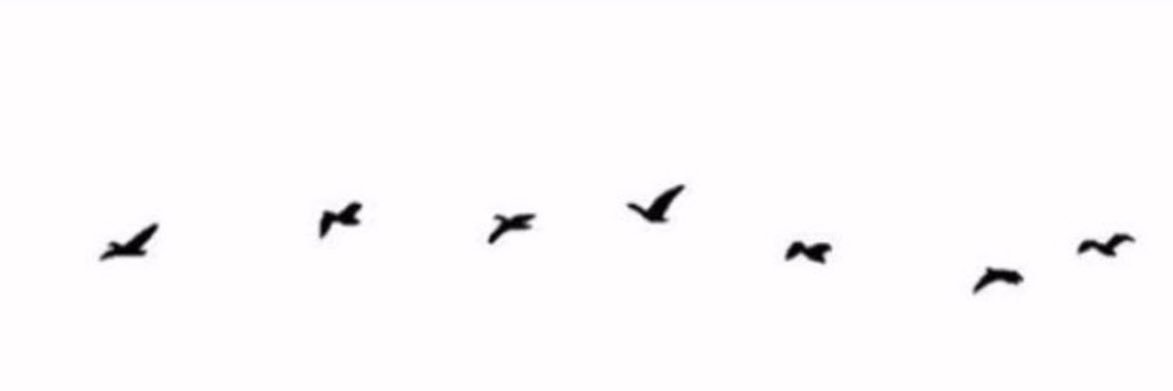 Nor_u89's profile banner image