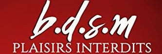BDSM Arg banner