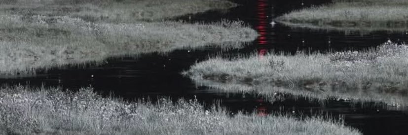 lostinyuh's profile banner image