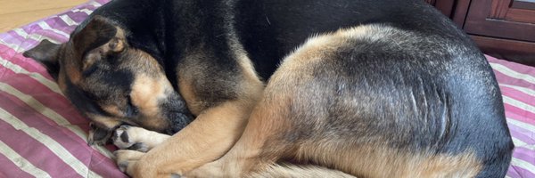 NeilFra97674870 Profile Banner