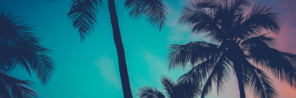 fultonhawk's profile banner image