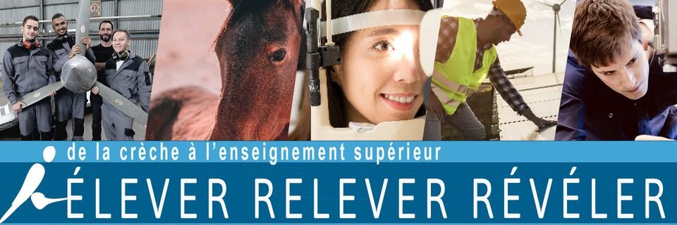 Institut Emmanuel d'Alzon banner