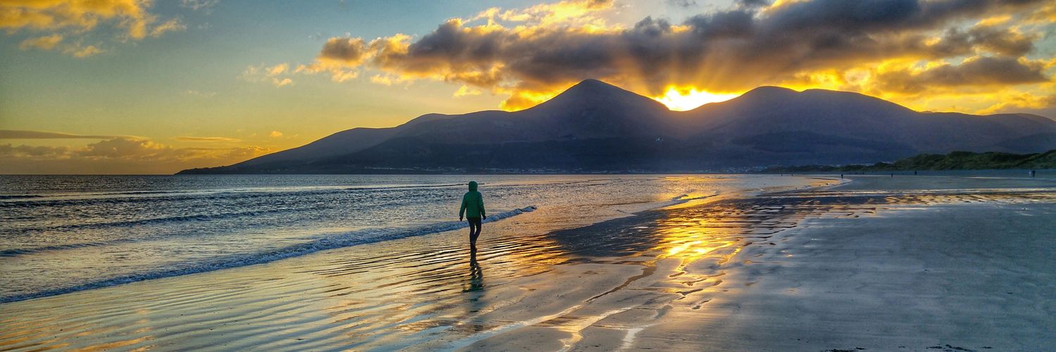 Declan Walsh 🍉🌻 banner