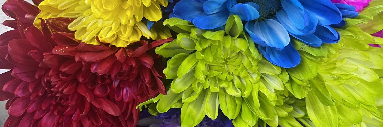 soylolaytu's profile banner image
