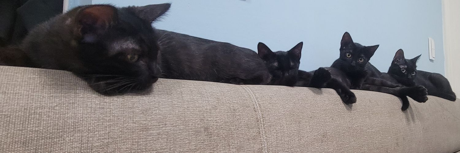 BB是Bitch的B banner