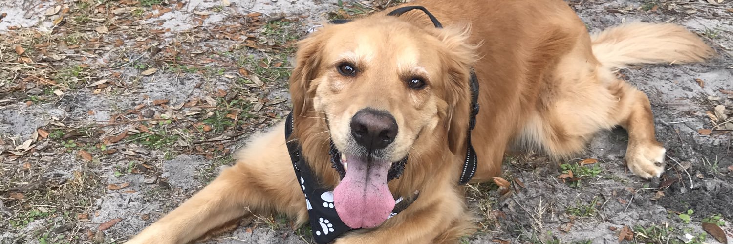 caylynduff's profile banner image