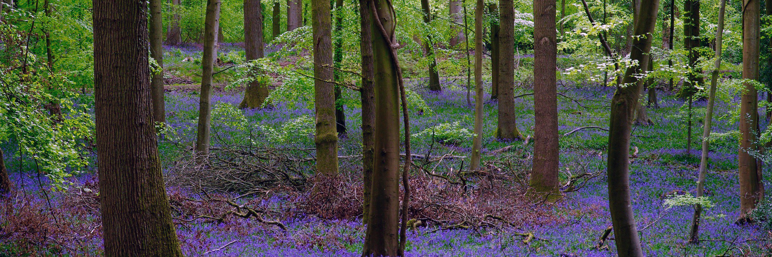 Cycling Guides banner